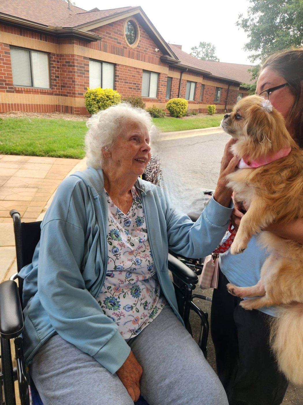 A Paw Tales pup visiting with a senior