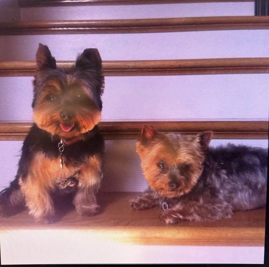 Teddy & Macy